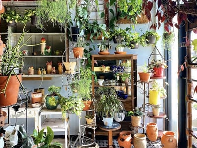 Walker CBD Store and Vintage Market