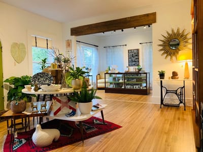Well Rooted CBD Dispensary + Boutique