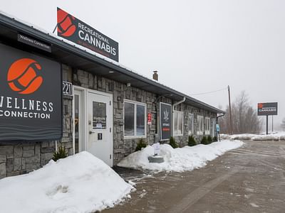 Wellness Connection of Maine