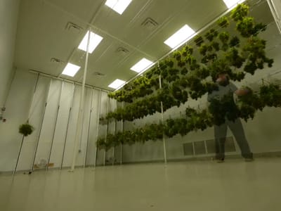 Wellness Connection of Maine