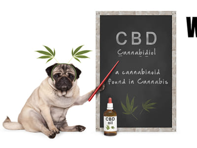 West Tennessee Apothecary