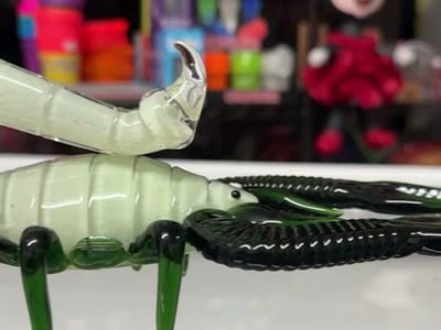 West TX Wellness and Extracts-smoke shop