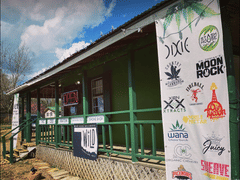 Wild Herb Wellness LLC