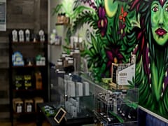 Wildflower Vibes CBD