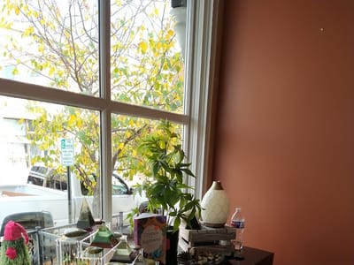 WINDY HILL CBD OIL & WELLNESS GREENWICH