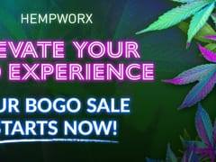 WV Hemp Works & More