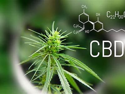 Xtreme Releaf CBD