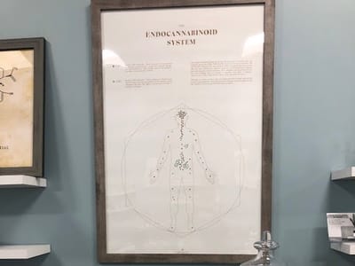 Your CBD Store | SUNMED - Brookline, MA