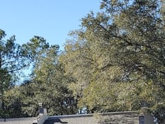 Your CBD Store | SUNMED - Calabash, NC