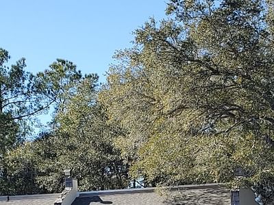 Your CBD Store | SUNMED - Calabash, NC