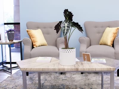 Your CBD Store | SUNMED - Chandler, AZ