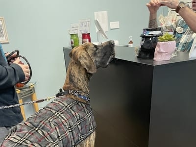 Your CBD Store | SUNMED - Clinton, NJ