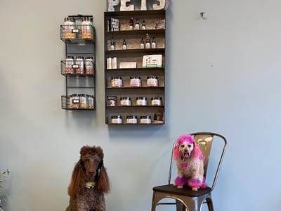 Your CBD Store | SUNMED - Hickory Flat, GA