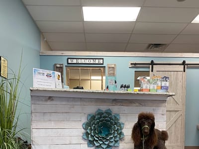 Your CBD Store | SUNMED - Hickory Flat, GA