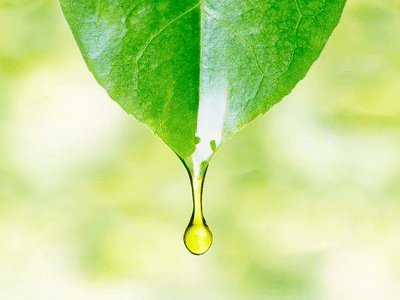 Your CBD Store | SUNMED - Horseheads, NY