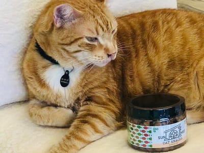 Your CBD Store | SUNMED - Malibu, CA