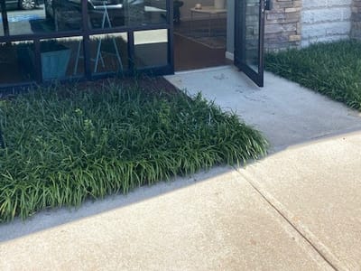 Your CBD Store | SUNMED - Peachtree City, GA