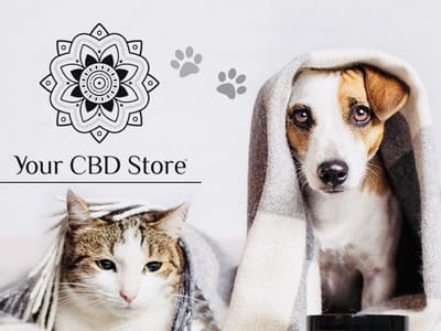Your CBD Store | SUNMED - Rivergate, TN