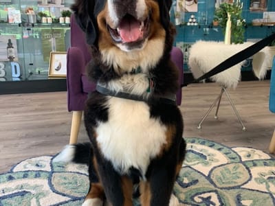 Your CBD Store | SUNMED - Shaler, PA