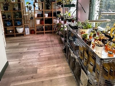 Zen Botanicals & Gift Shop