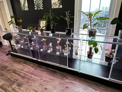 Zen Botanicals & Gift Shop