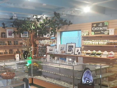 Zion Apothecary - kratom, kava, cbd, herbs, crystals and more