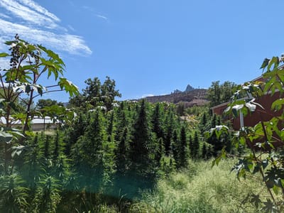 Zweedles Farmers Market