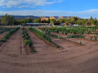 Zweedles Farmers Market
