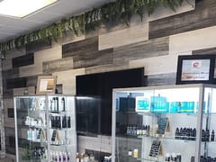 Zynn World Premium CBD