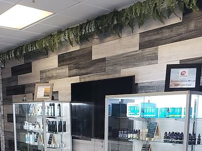 Zynn World Premium CBD